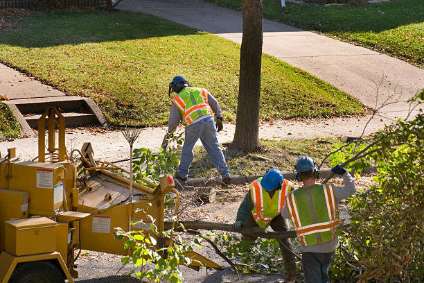 Best Soil Testing and Treatment  in Richton Park, IL